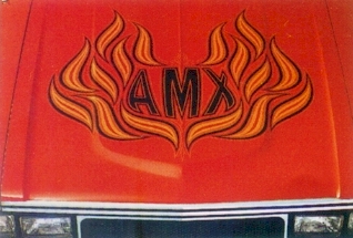 1979 Spirit AMX hood graphics