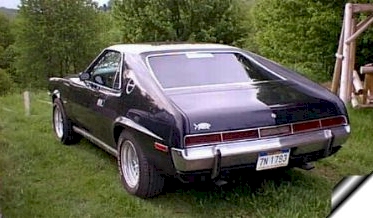 AMX owner 11