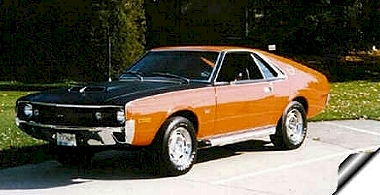 AMX owner 19