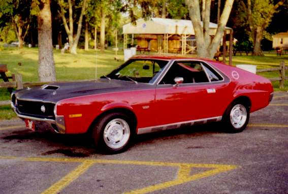 AMX owner 24 picture 2