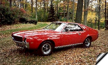 AMX owner 49