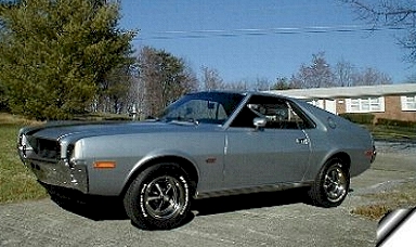 AMX owner 81