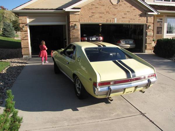 Dave's 68 AMX 390